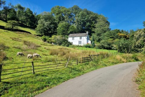 Farm Road Surfacing Fakesville