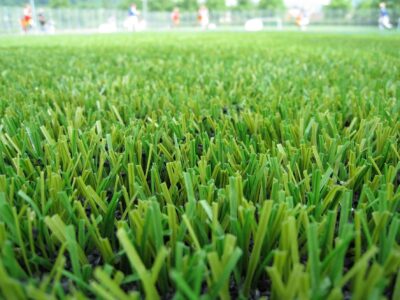 Fakesville artificial grass