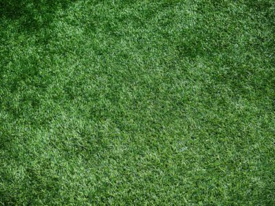 Fakesville artificial grass