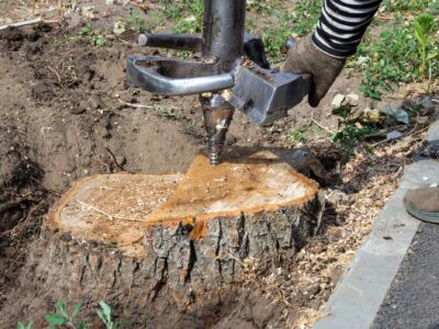 Tree stump grinding Fakesville