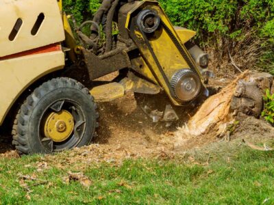 Tree stump grinding Fakesville