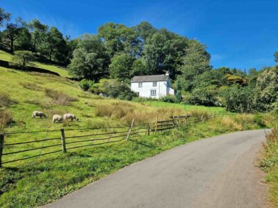 Old farm road Fakesville