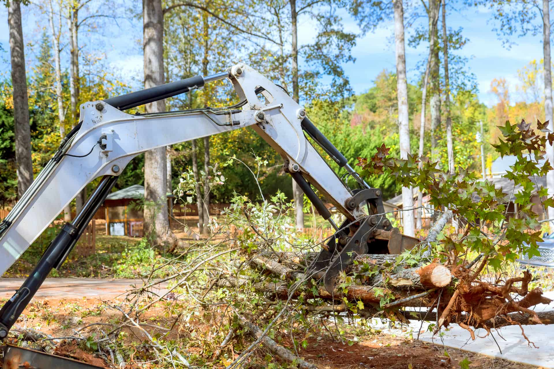 Site clearance company near London