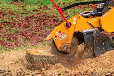 Tree Stump Grinding Services London