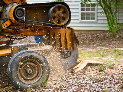 Stump grinding near me Fakesville