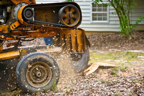 Stump Grinding near me Fakesville SO45