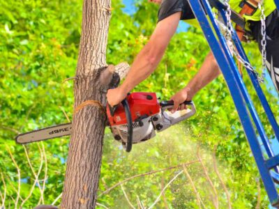 Tree cutting Fakesville