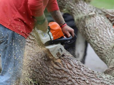 Tree surgery near me Fakesville