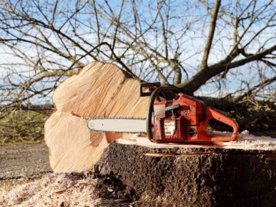 Tree felling near me Fakesville