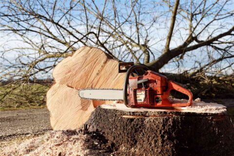 Tree Felling Fakesville