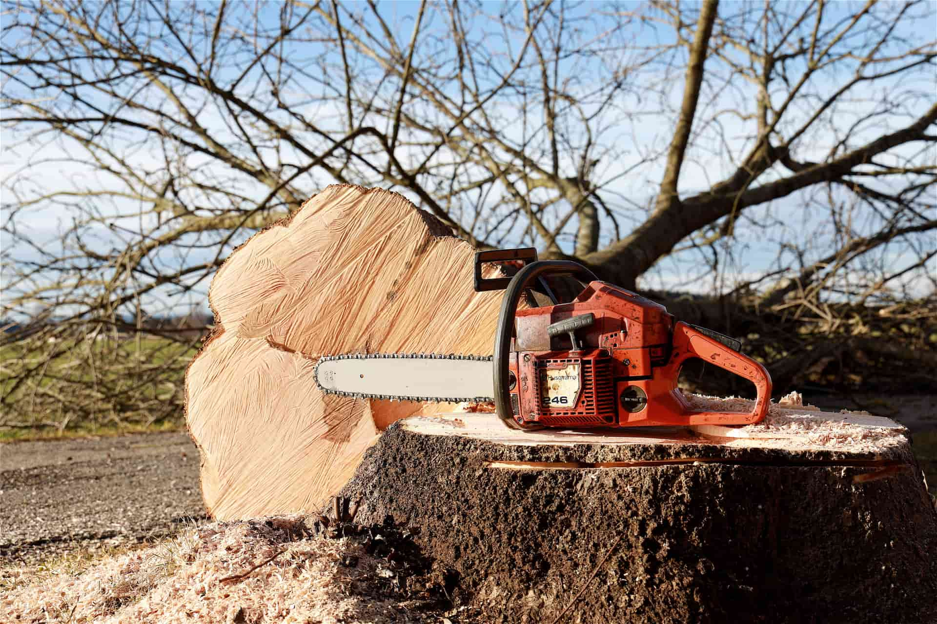 Tree felling experts Fakesville