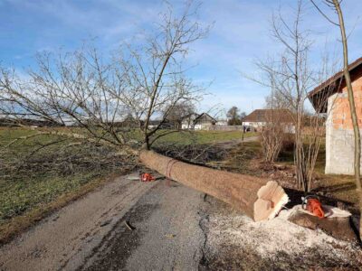 Tree cutting service Fakesville