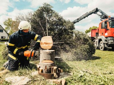 Local tree surgeon Fakesville