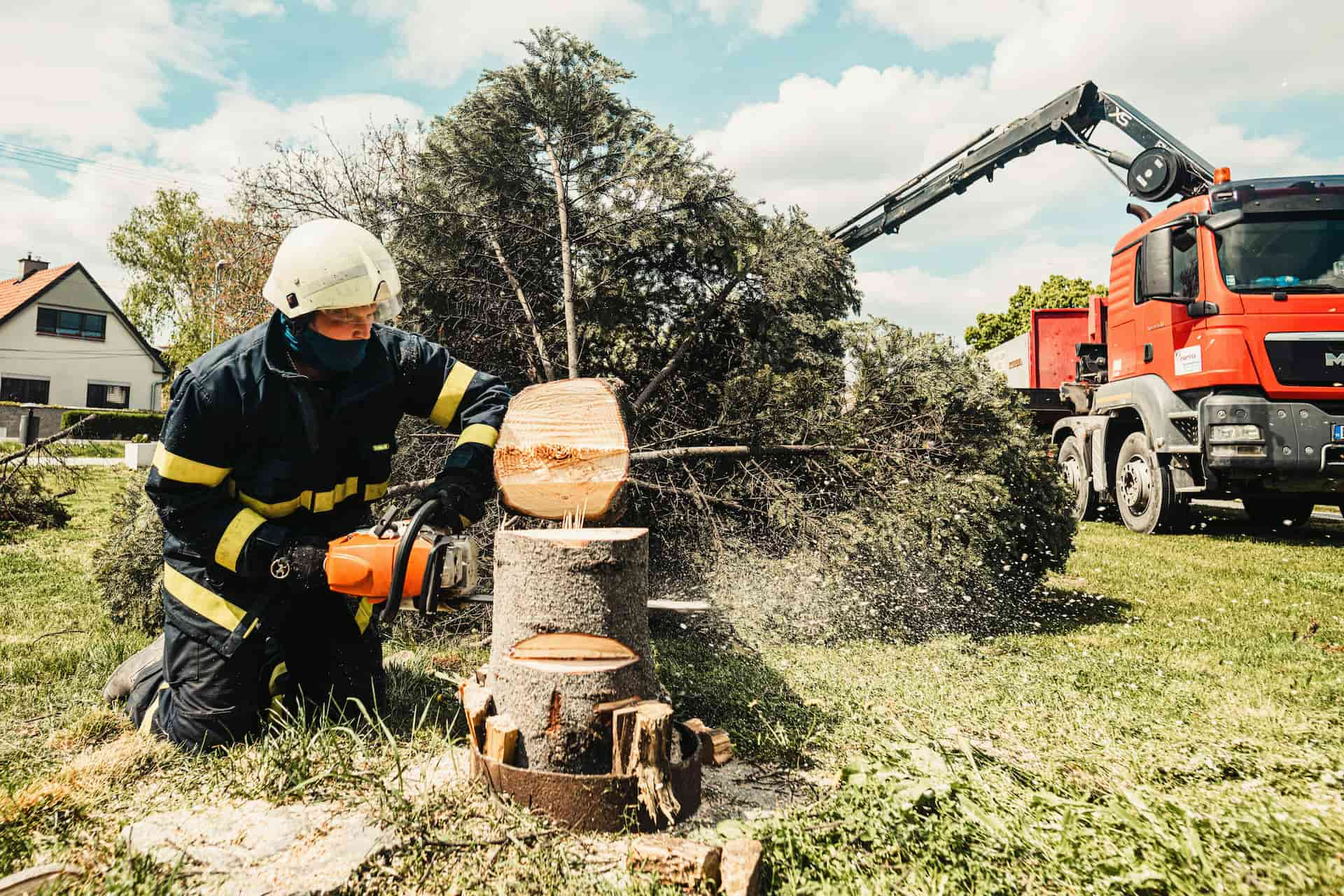 Tree surgeons near me Fakesville